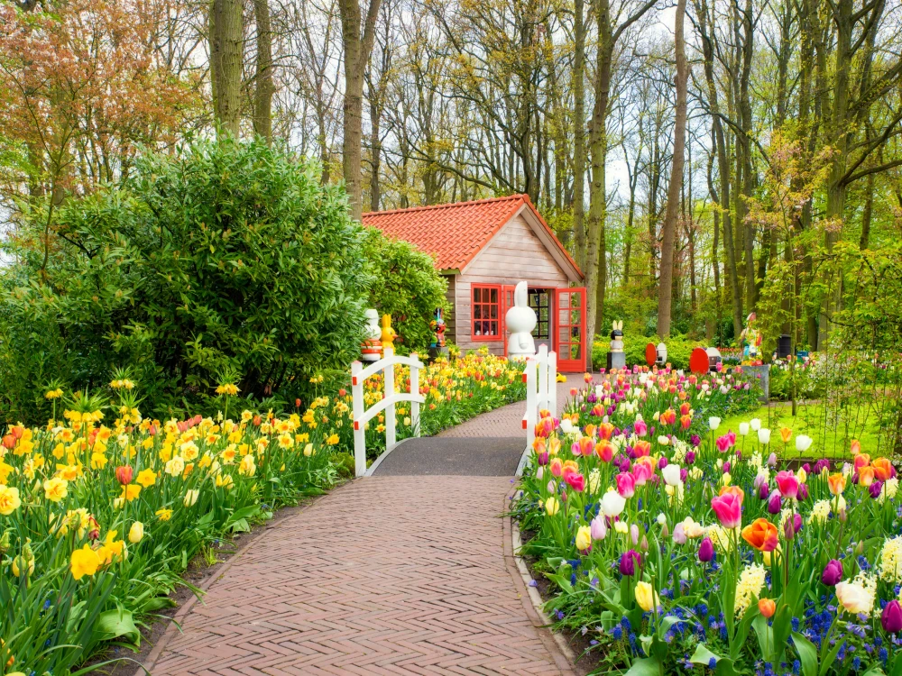 Beautiful spring flowers in Keukenhof park in Netherlands