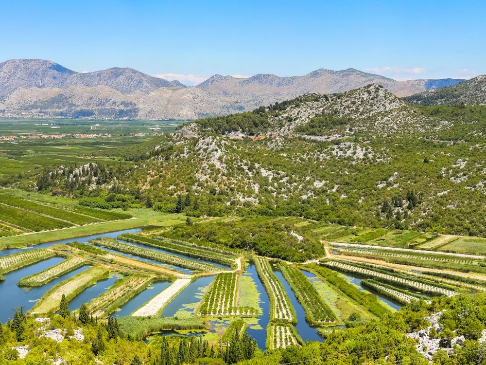 A view of the irrigated agricultural orchards and fields in the delta of the river Neretva in Opuzen, Croatia.
