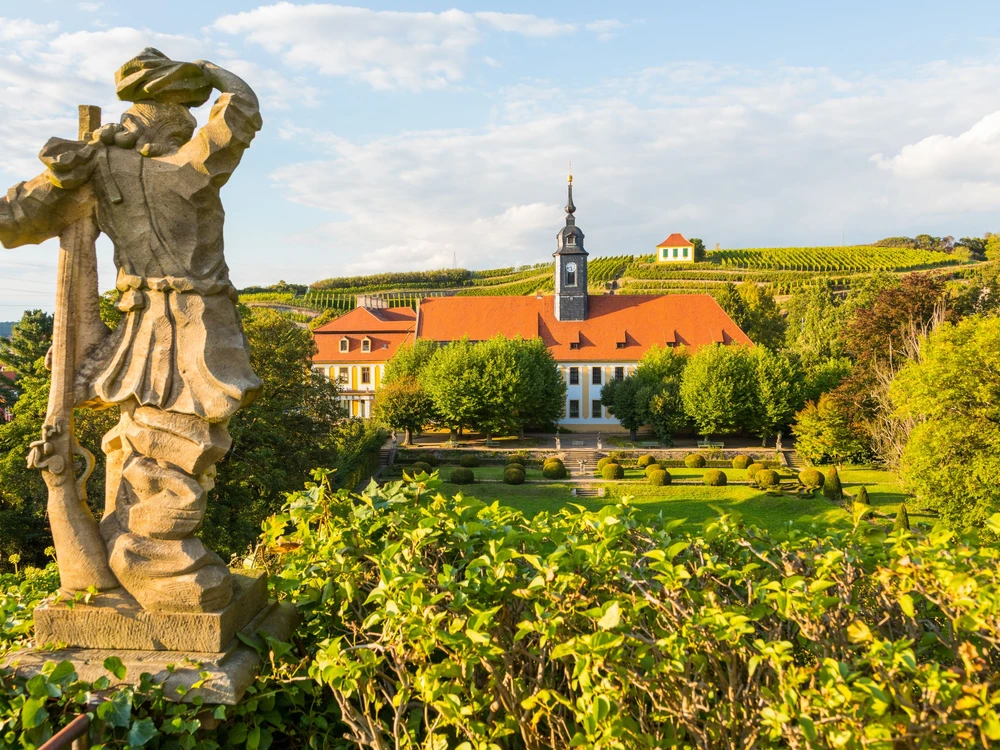 Weinanbau in Diesbar-Seußlitz