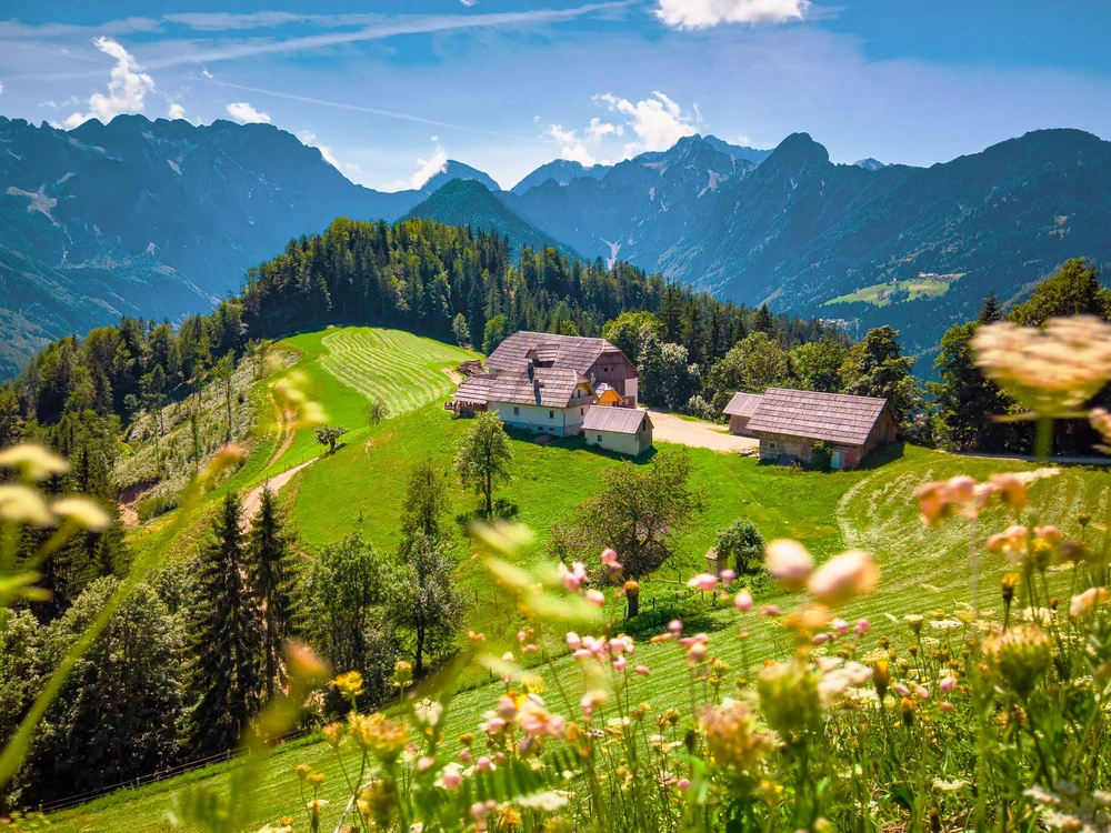 Mountain landscape, Alps in Slovenia with farm and blooming meadows, Solcava panoramic road