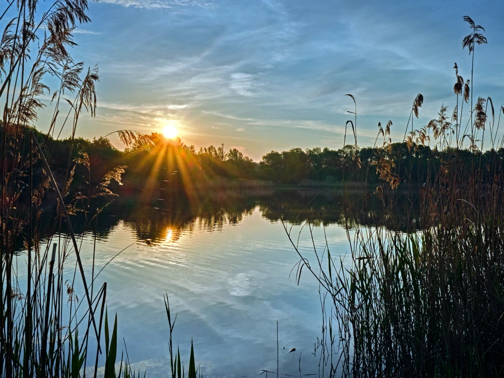Sonnenaufgang am Waldsee Lauer in Markkleeberg bei Leipzig.
