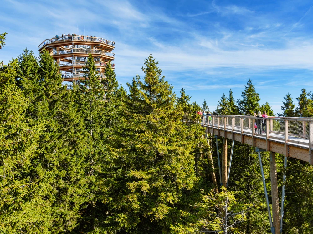 ROGLA, SLOVENIA - Oct 20, 2020: Wooden lookout tower, tourist attraction above treetops. Forest, trees, lookout, viewpoint, tourism, nature, outdoors. Rogla, Slovenia.