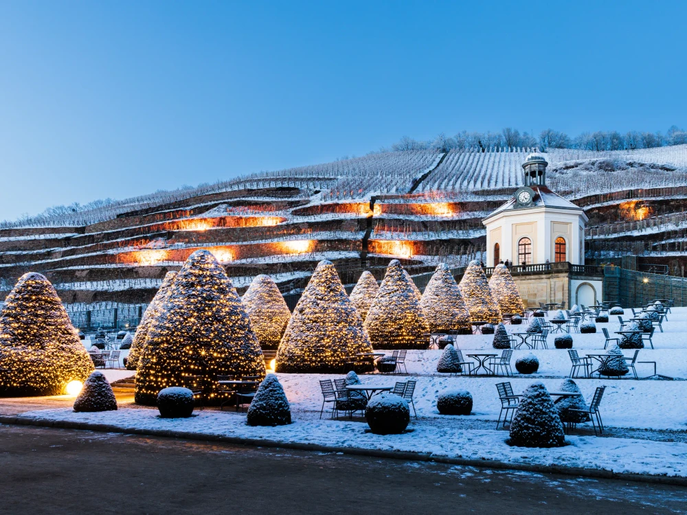 Weihnachtliche Stimmung im Park Schloss Wackerbarth, Radebeul