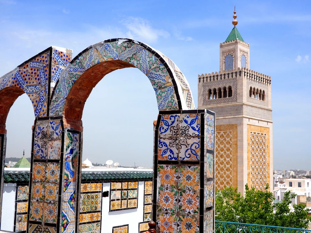 view over tunis medina to the great mosque