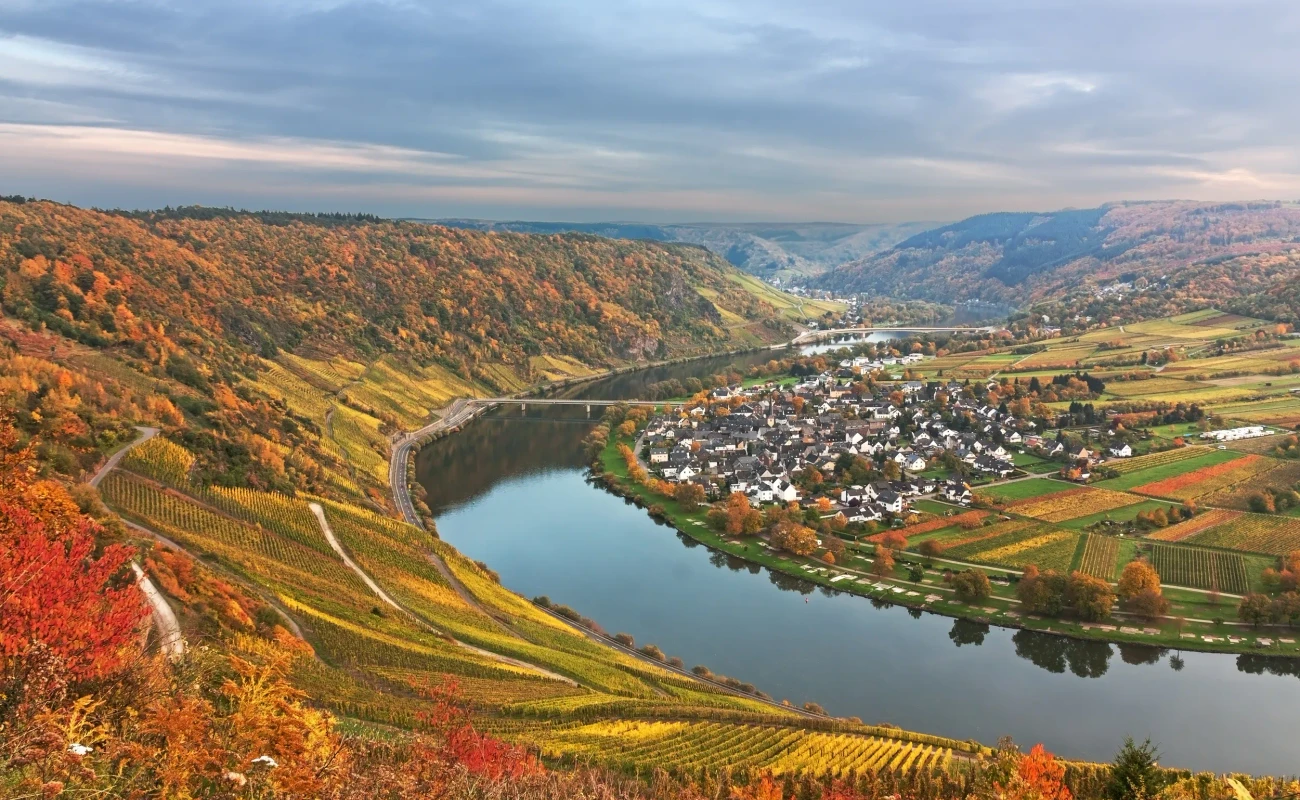 Moselschleife mit Weinbergen im Herbstlaub bei Traben-Tarbach, Ortsteil Wolf in Rheinland-Pfalz

Valley of the Moselle river near Traben-Tarbach (quarter Wolf), in Rhineland-Palatinate, Germany