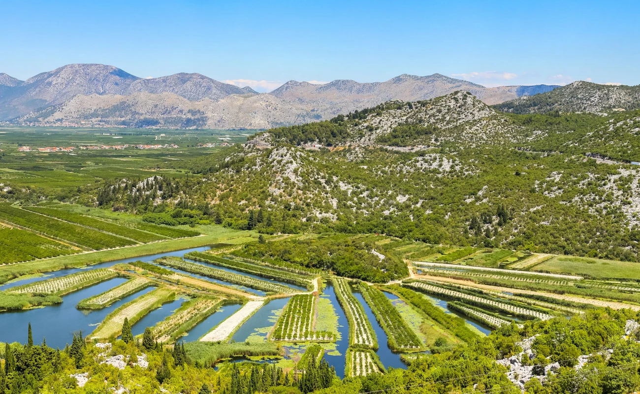 A view of the irrigated agricultural orchards and fields in the delta of the river Neretva in Opuzen, Croatia.