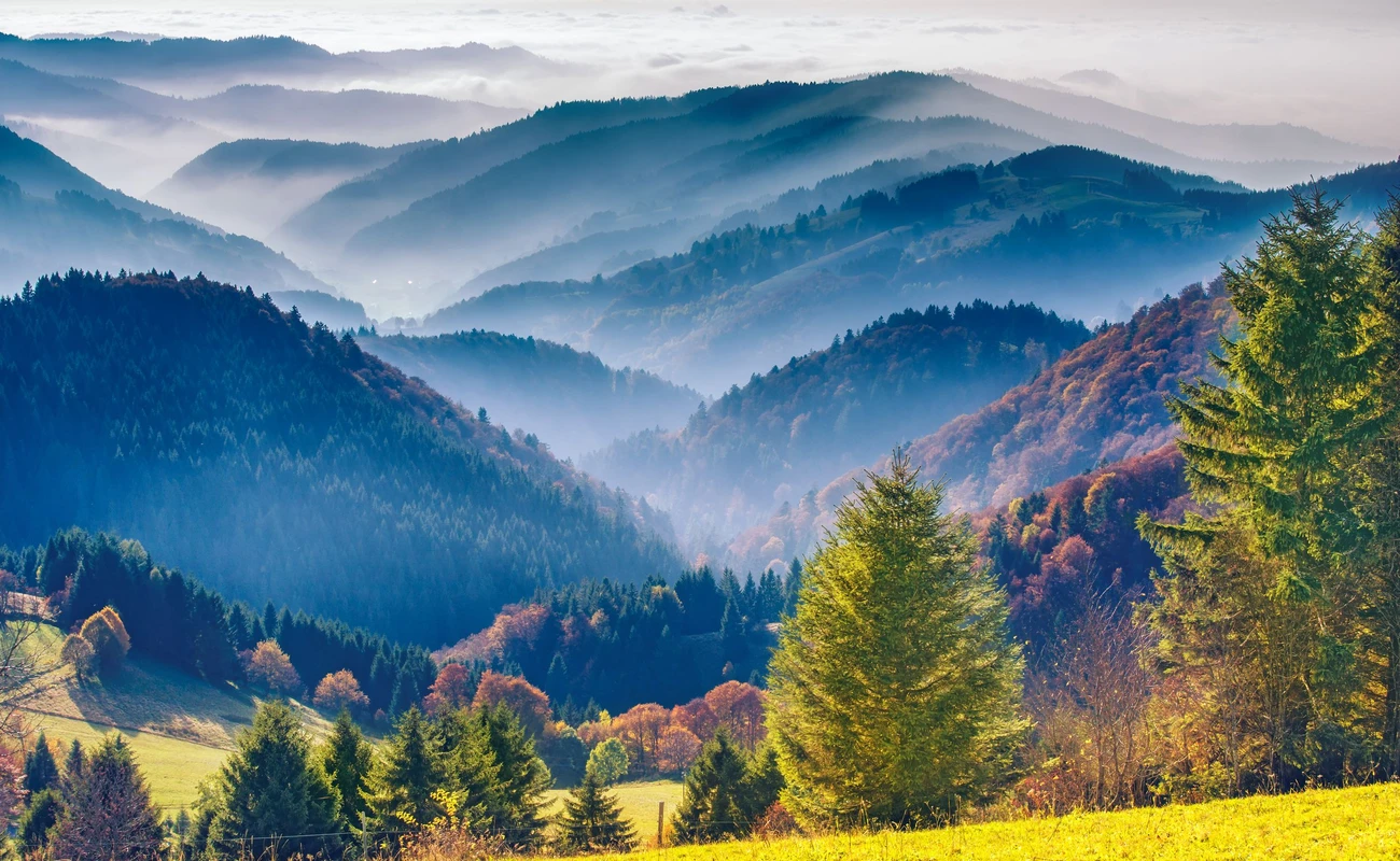 Scenic mountain landscape. View on the Black Forest in Germany, covered in fog. Colorful travel background.