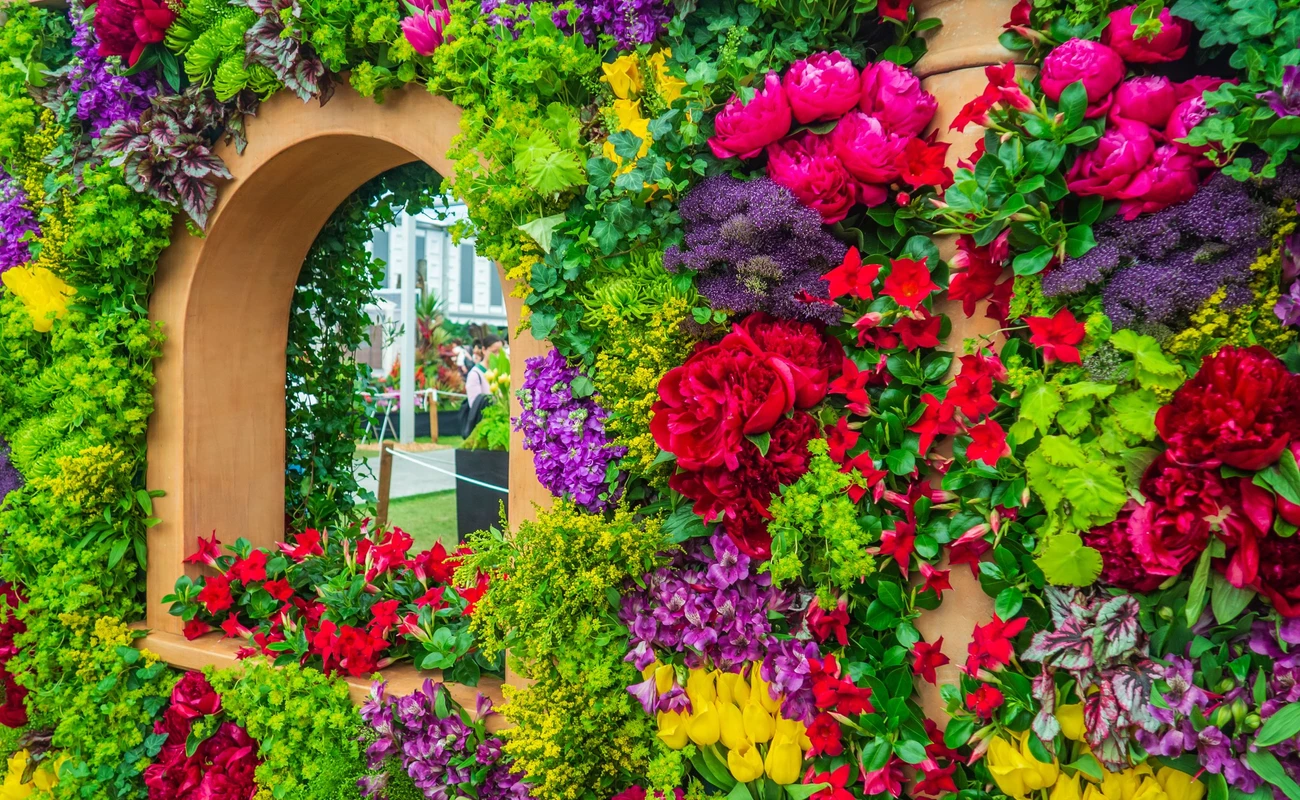 LONDON, UK - MAY 25, 2017: RHS Chelsea Flower Show.