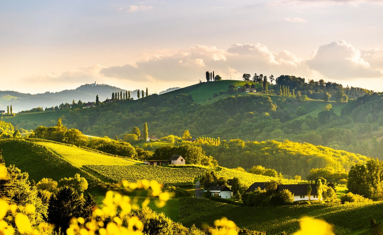 Panoramic view from vineyard to green hills of south styrian wine route in Austria in the evening light. Glanz an der Weinstrasse, Tuscany like Austrian travel destination