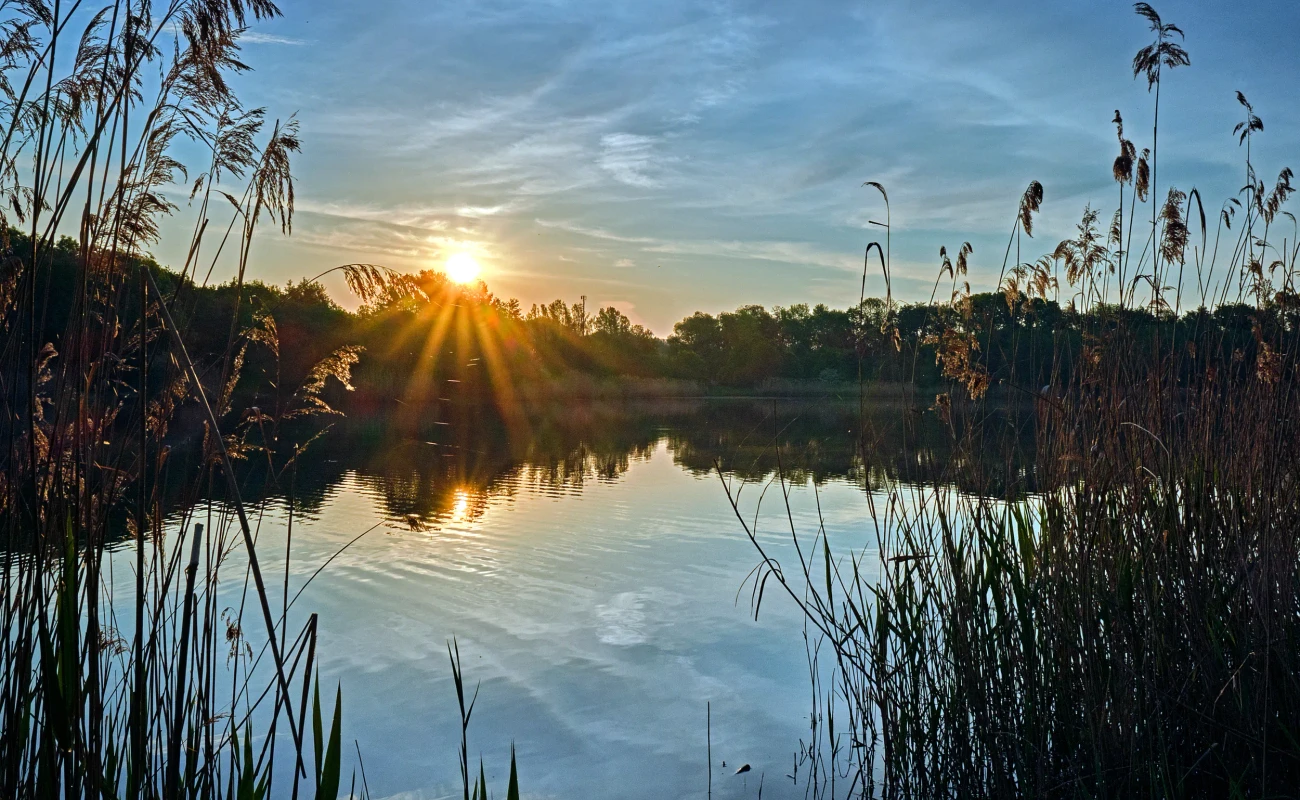 Sonnenaufgang am Waldsee Lauer in Markkleeberg bei Leipzig.
