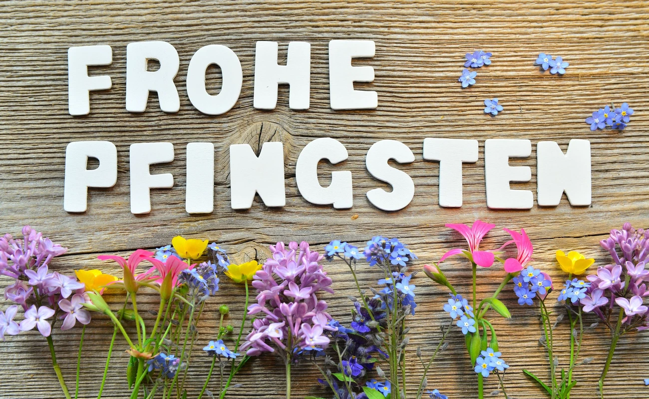 Frohe Pfingsten  blumen