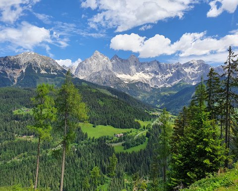  Blick aufs Dachsteingebirge