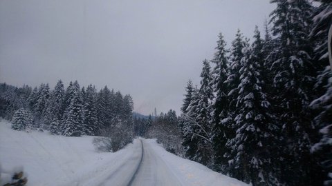  Durch den Winterwald in Richtung Slowakei