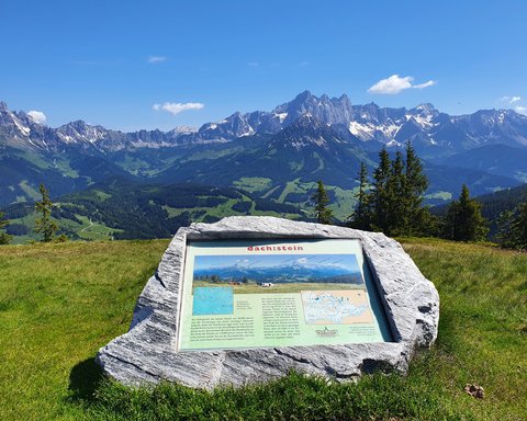  Blick aufs Dachsteingebirge