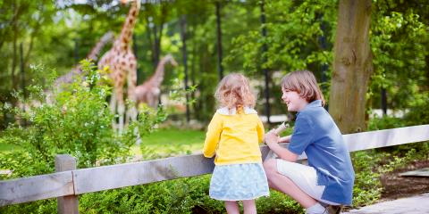Titelbild für Besuch im Zoo Leipzig