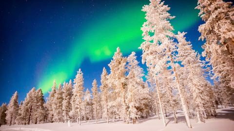 Winterlandschaft in Lappland